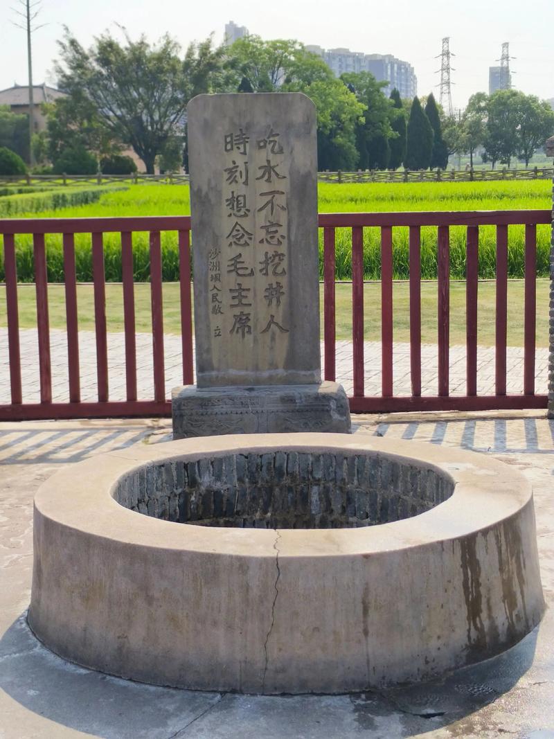 走进贸易新纪元：瑞金达辉贸易助力企业转型升级
